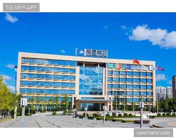 遇到凯发集团网页版登录不了问题如何高效排查与解决